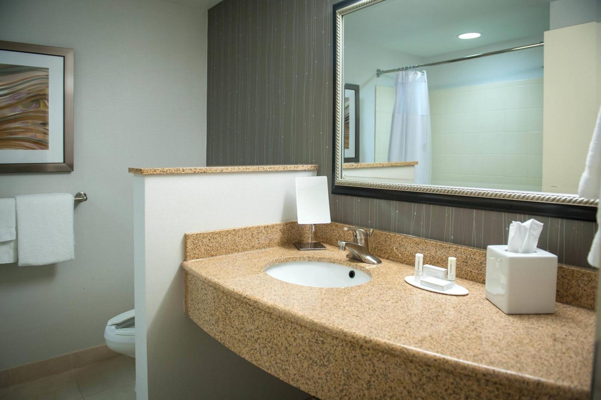 Courtyard By Marriott Downtown Hotel 3*